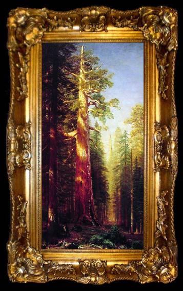 framed  Albert Bierstadt The Great Trees, Mariposa Grove, California, ta009-2